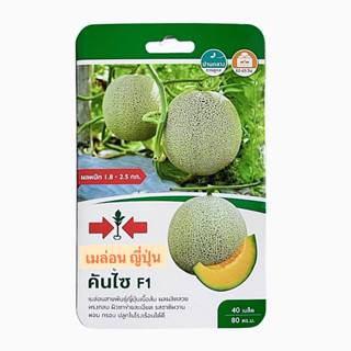 ศรแดง เมล่อน ญี่ปุ่น คันไซ (40 เมล็ด) อายุ 4/70