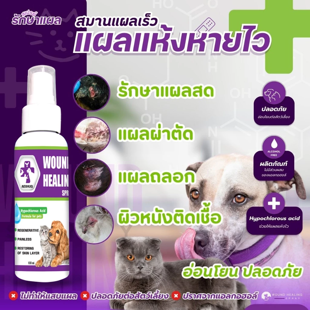 AEXHUQ สเปรย์นาโน พ่นแผลสุนัข-แมว ฟื้นฟูเร็ว สำหรับสัตว์เลี้ยง 100 ml.