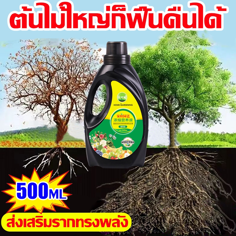น้ำยาเร่งรากด่วน ปริมาณ 500ml เร่งโต รากเดิน บำรุงดิน ธรรมชาติ น้ำยาเร่งราก B1เร่งรากเห็นผลไว เพิ่มพื้นที่ผิวราก ลดการใช
