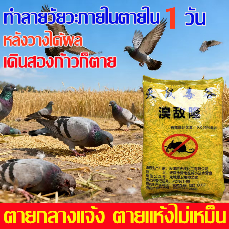 CODนกพิราบ ยากำจัดนกพิราบ ยาเบื่อนก ไล่นก ก้อนไล่นก กำจัดนก เหยื่อกำจัดนกพิราบ เบื่อนกพิราบ ยาฆ่านกพิรา