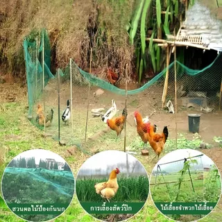 ถูกสุด ตาข่ายล้อมไก่ยาว100เมตร ตาข่ายพลาสติก ตาข่ายกันนก ตาข่ายไนล่อน อวนจับปลา ตะข่ายกันนก