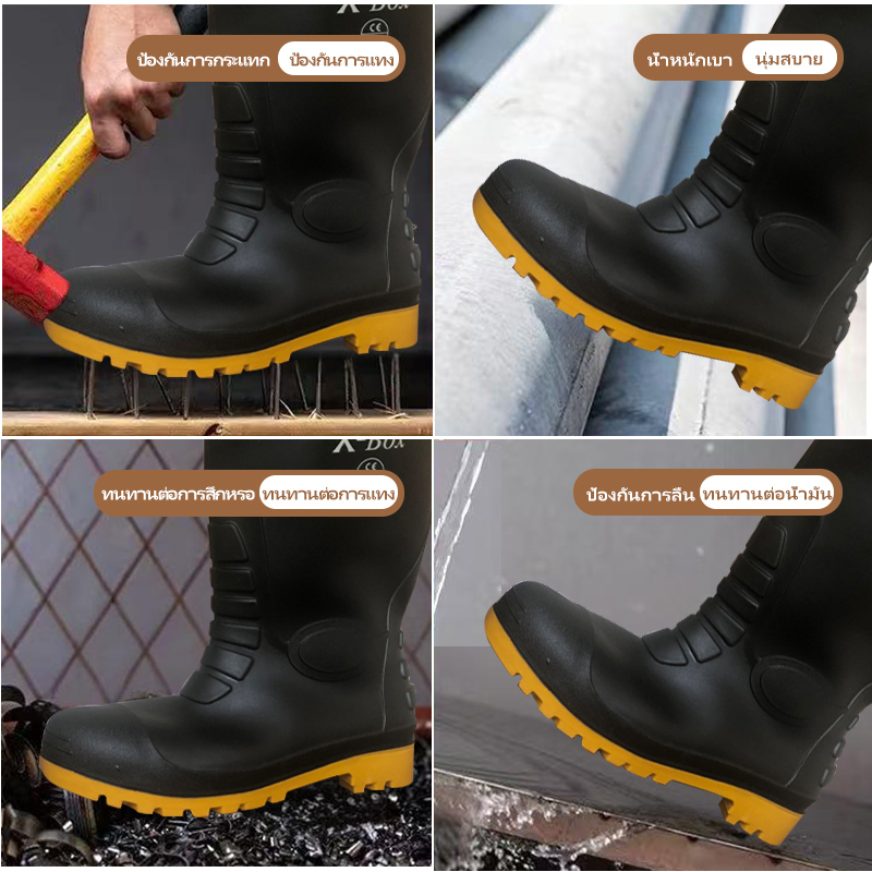 รูปภาพ 2