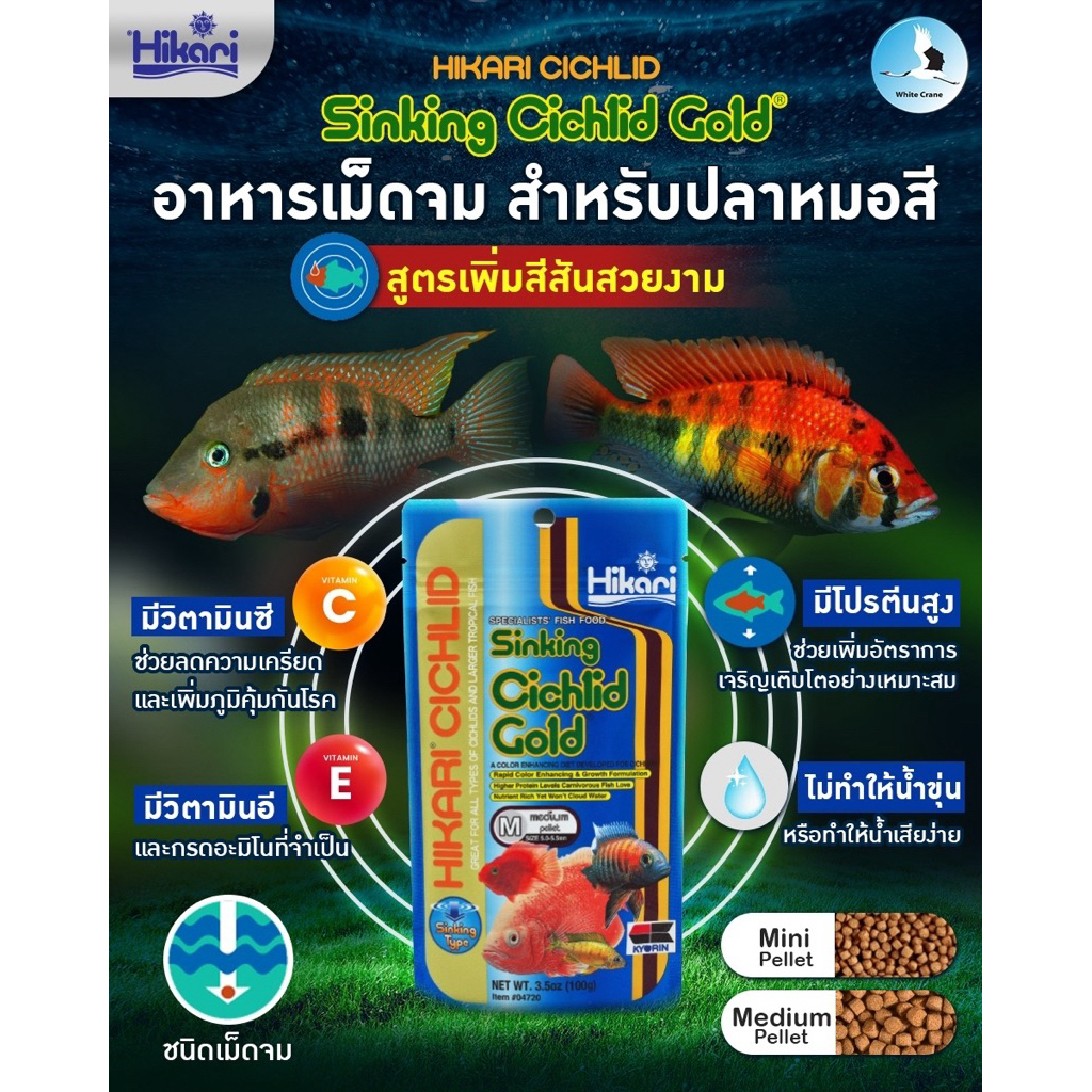 Hikari Sinking Cichlid Gold อาหารปลาหมอสีทุกสายพันธ์ุ  สูตรเร่งสี–โปรตีนสูง  ชนิดเม็ดจม  100g 324g.