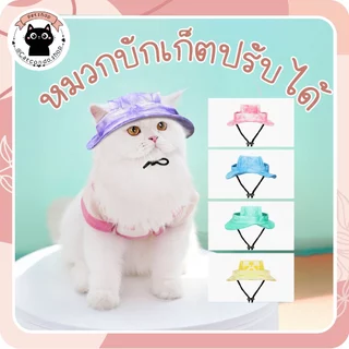 🌵หมวกบักเก็ตแบบปรับได้ หมวกแมว หมวกสัตว์เลี้ยง เครื่องประดับแมว ชุดแมว🌵