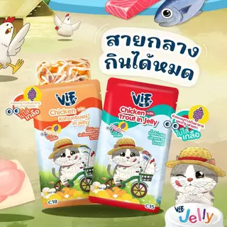 [ยกลัง 48 ซอง] VIF Felina Canino อาหารเปียกแมว เกรดพรีเมี่ยม แบบซอง 75 กรัม ไม่เติมเกลือ-สำหรับแมวทุกสายพันธุ์