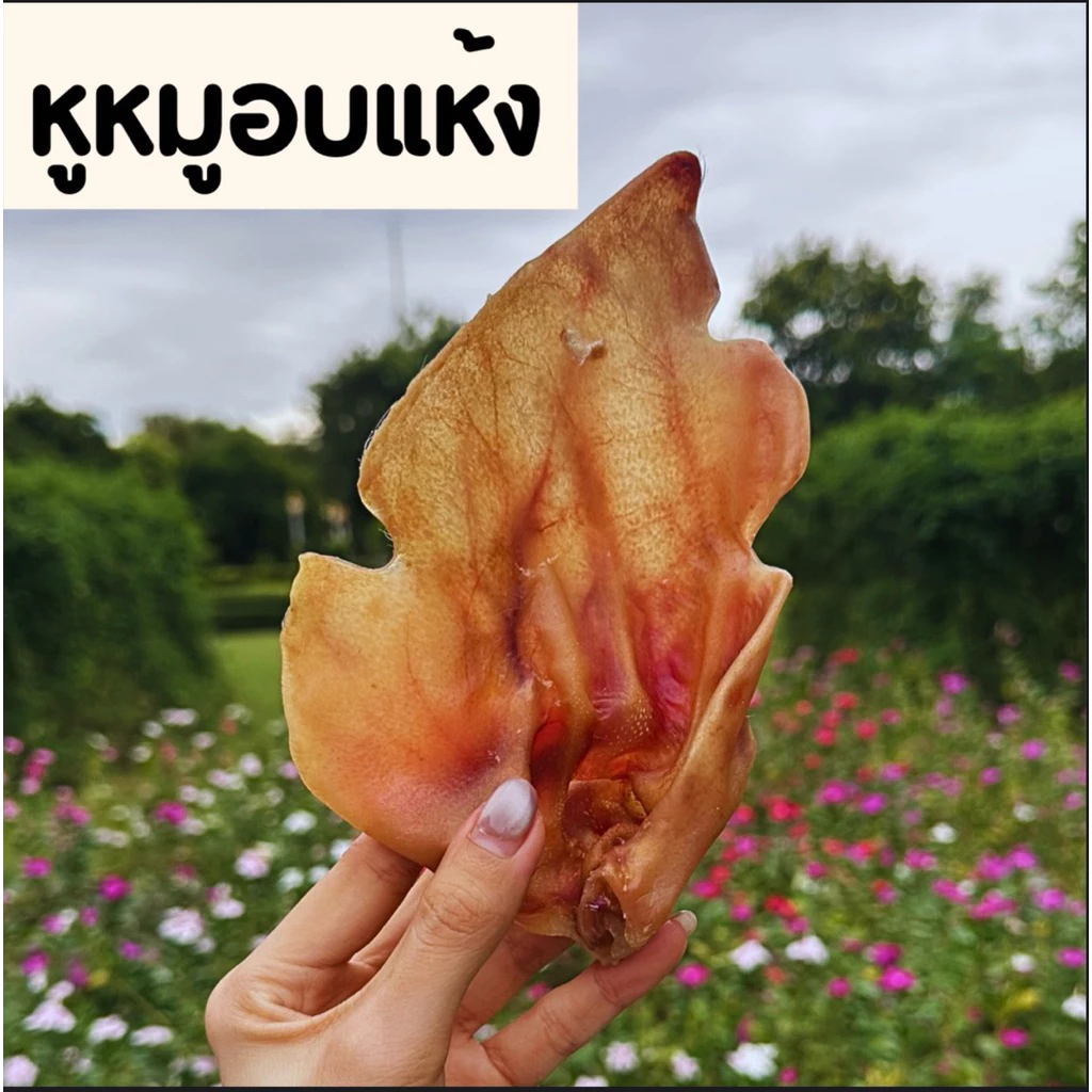 หูหมูอบแห้ง เกรดคนทาน ของเคี้ยวเล่นธรรมชาติ ของเคี้ยวเล่นสำหรับสุนัข ไม่ปรุงรส ไม่ใส่สารกันเสีย thumbnail 8
