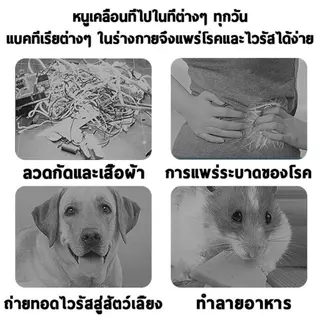 [🏆ยอดฮิต!] ก้อนไล่หนู ปลอดภัยไร้สารพิษ 1 ชุด 10 ก้อน | ไล่หนูถาวร ไล่จิ้งจก ไล่มด | กลิ่นลาเวนเดอร์ ไม่ระคายเคือง