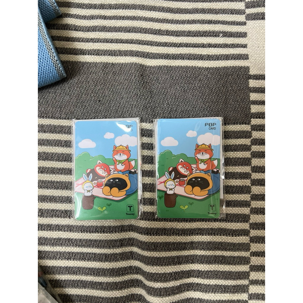 บัตร T-money เกาหลี โซล