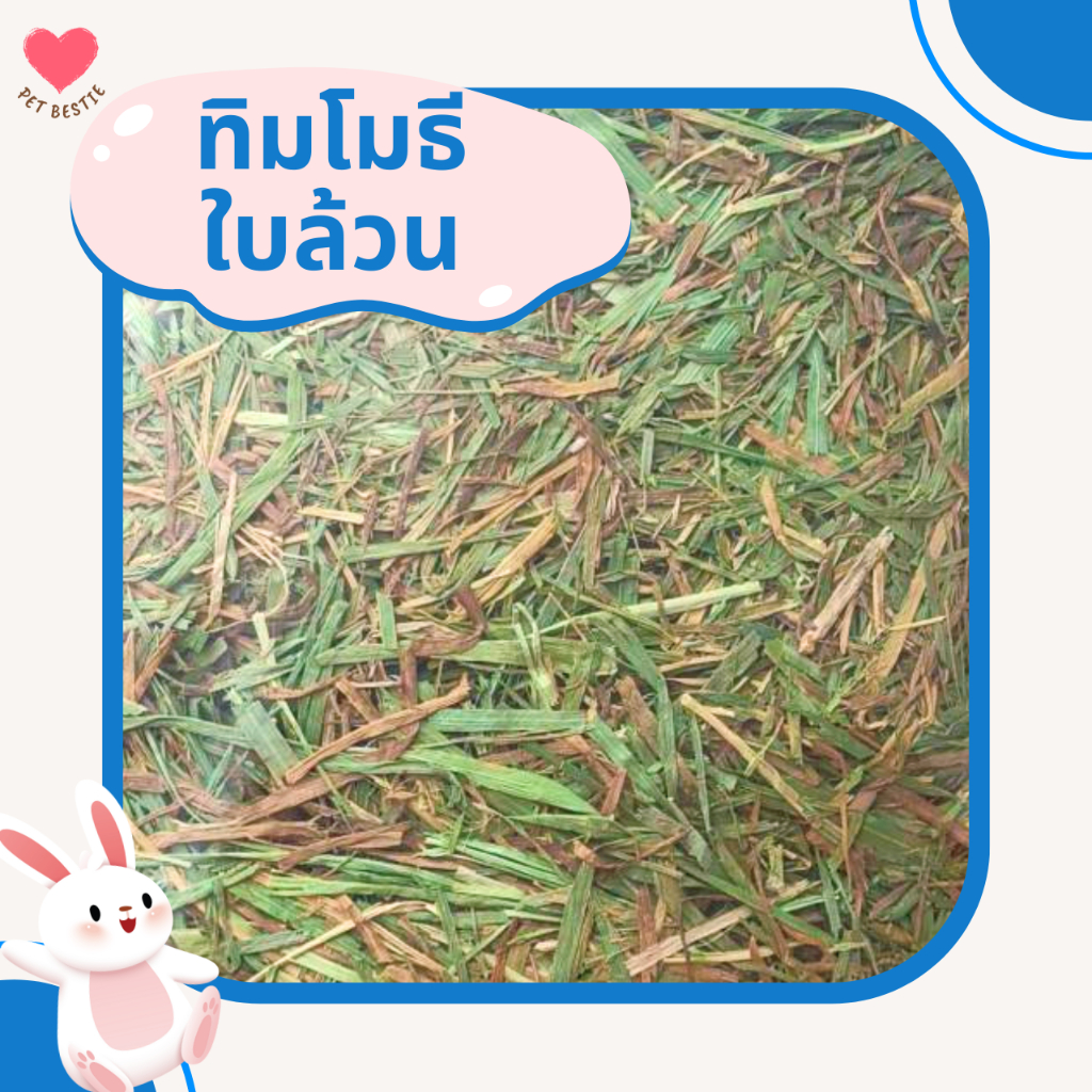 ถุงใหญ่ หญ้าทิมโมธีพรีเมียมล็อตใหม่สุดร่อนฝุ่น 4 กก.| เกรด Super Premium Plus+ เขียวมาก ใบดอกเยอะ รูปที่ 4