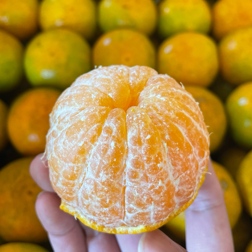 รูปภาพ 2