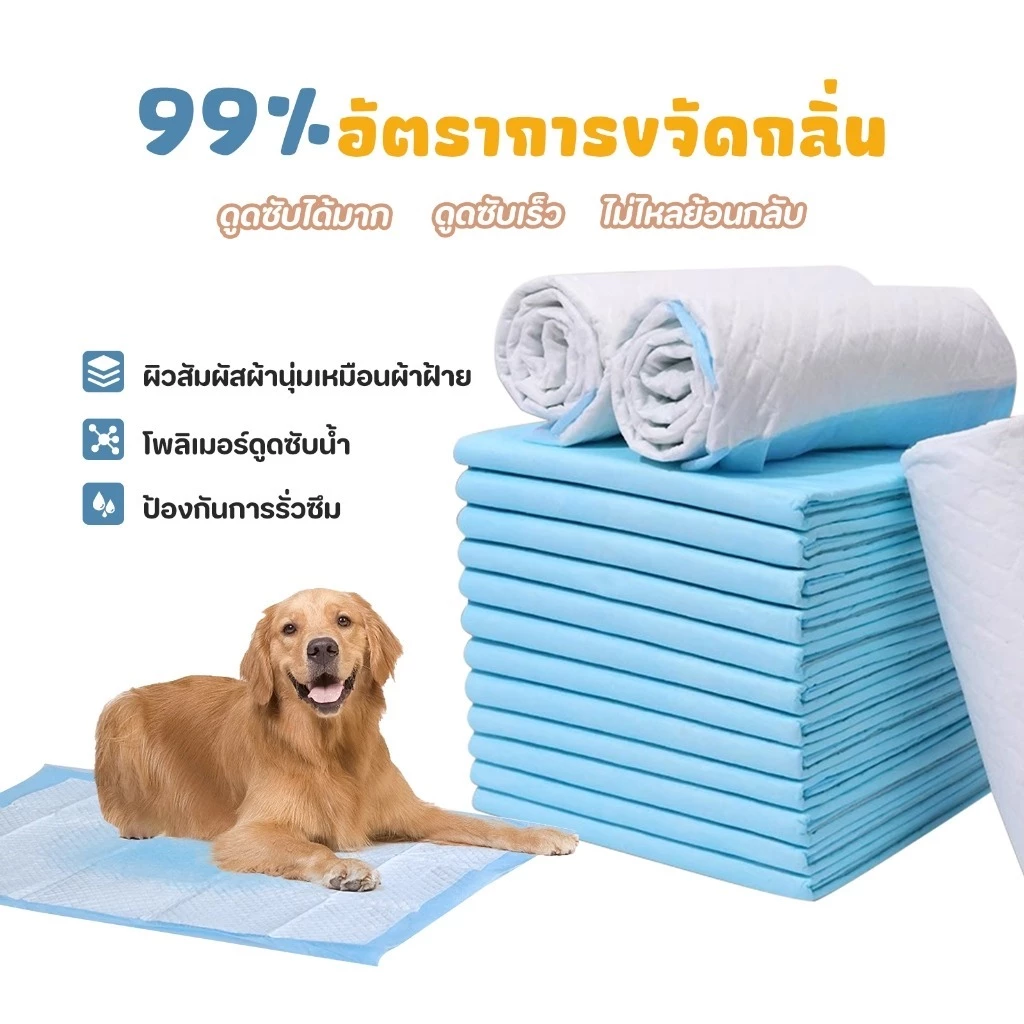 แผ่นรองฉี่สุนัข ซึมซับดี ต่อต้านแบคทีเรีย thumbnail 3