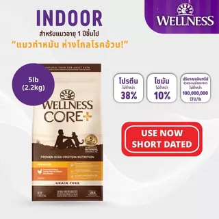 [ลดล้างสต๊อก Short Expired] WELLNESS CORE อาหารแมวพรีเมี่ยม มีให้เลือกหลายสูตรทุกช่วงวัย (แมวเด็ก - แมวโต)