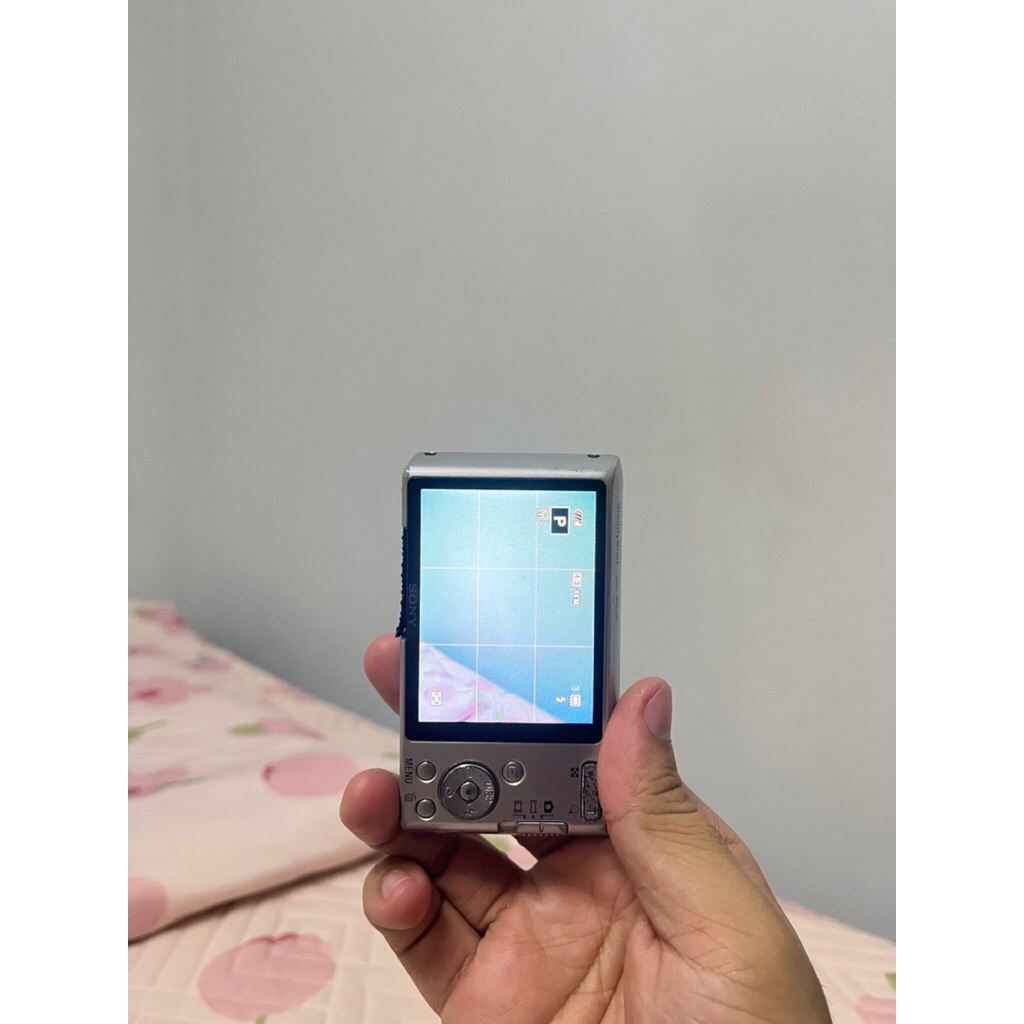 กล้องดิจิตอล Sony DSC-w610