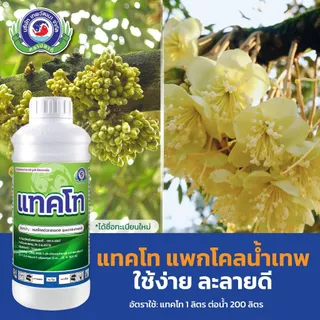แทคโท สารแพคโคบิวทราซอล 25% เทพวัฒนา (แบบยกลัง) ขนาด 1 ลิตร X 12 ขวด ราคายกลังคุ้มกว่า💯
