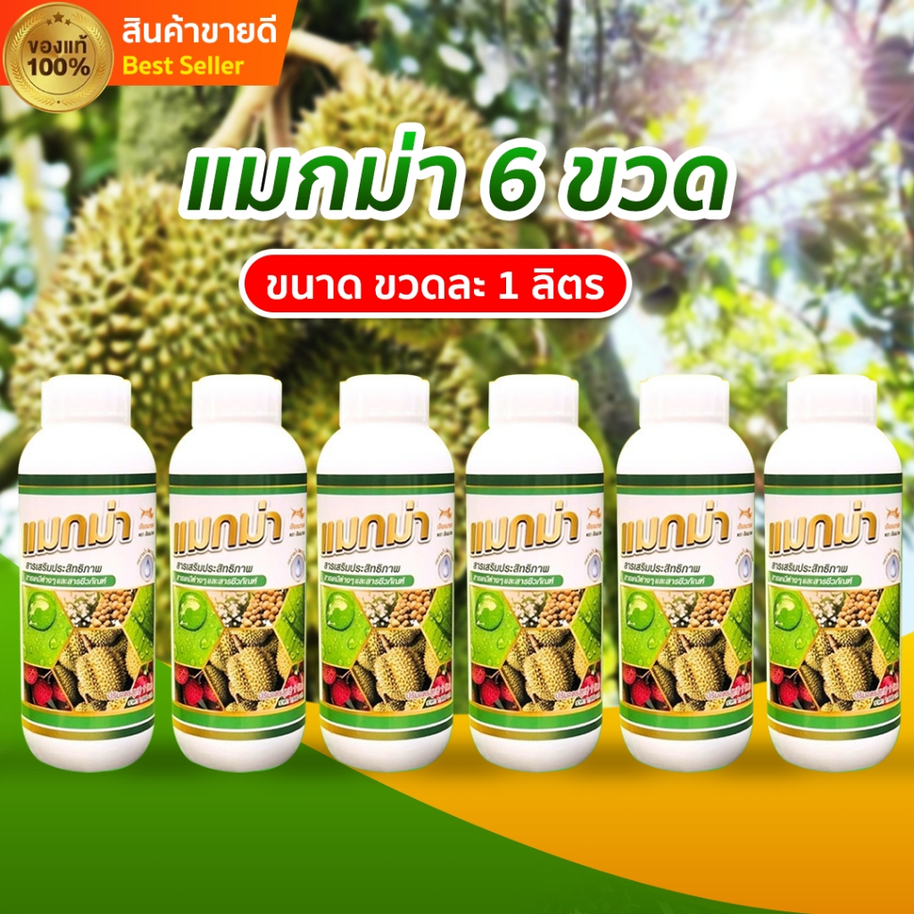 แมกม่า 6ขวด (ส่งด่วน) ปริมาณขวดละ 1ลิตร