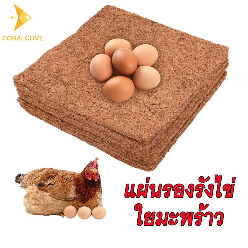 coralcoveshop แผ่นรองรังไก่ ใยมะพร้าว แผ่นรองที่นอน วัสดุธรรมชาติ ทำให้ไข่ไม่แตก สัตว์เลื้อยคลาน