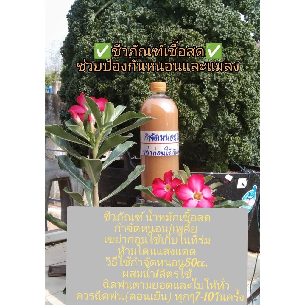 ชีวภัณฑ์กำจัดหนอน/เพลี้ย/ป้องกันโรคที่ใบ