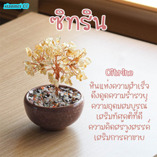 ต้นไม้ หินมงคล เสริม ฮวงจุ้ย โชคลาภ ร่ำรวย ความสูของมงคล ของ…