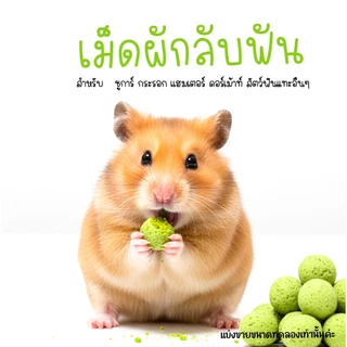 อาหารแฮมเตอร์ ขนม ชูการ์ กะรอก ดอร์เม้าท์ ใจเเอ้นท์ โรโบ เม่น สัตว์ฟันเเทะอื่นๆๆ (กะปุกทดลอง)