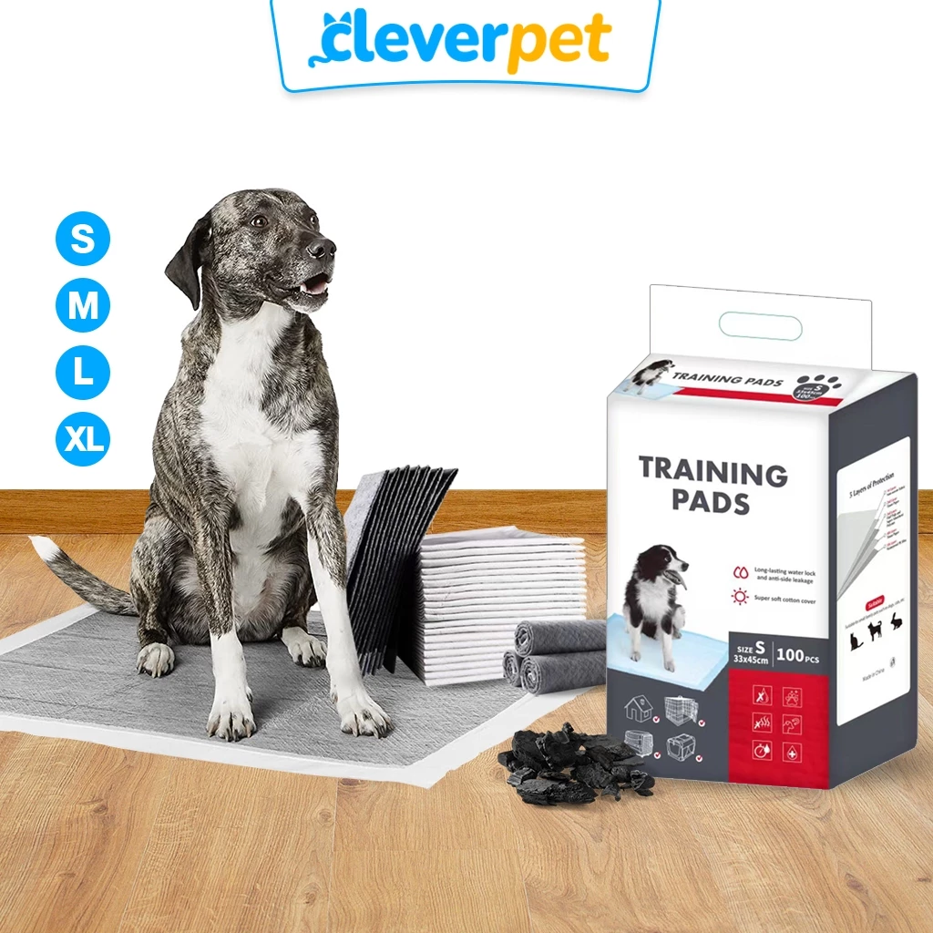 [ส่งฟรี🇹🇭] CleverPet แผ่นรองฉี่ชาโคล สุนัข แผ่นรองฉี่แมว ซึมดี เก็บกลิ่น Dog Training Pad