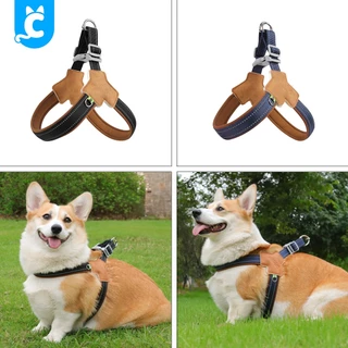 [ส่งฟรี🇹🇭] Duomm สายรัดอกสุนัข เสื้อรัดอกหมา ระบายความร้อน Dog Harness CleverPet