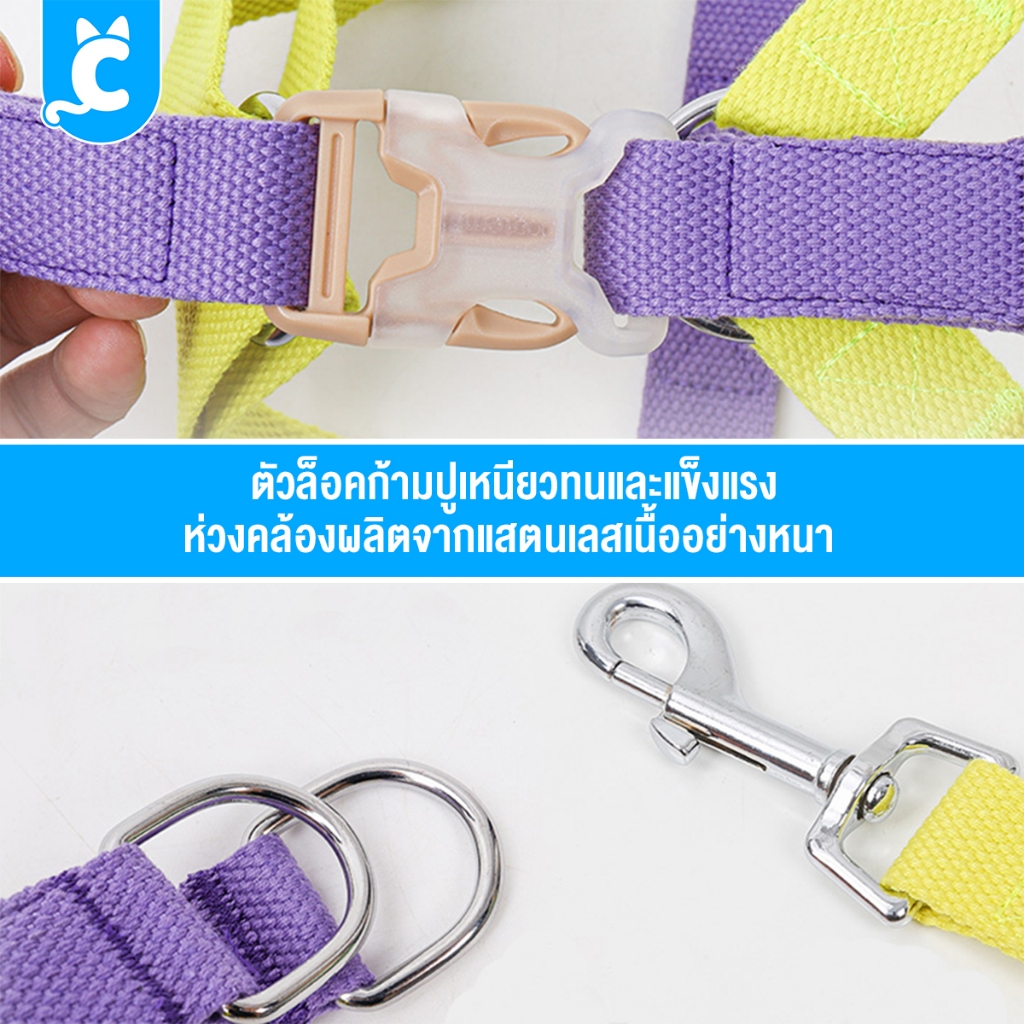 [ส่งฟรี🇹🇭] Doglemi ปลอกคอสุนัข สีพาสเทล ปลอกคอแมว สายจูงสุนัข สัตว์เลี้ยง Dog Collar CleverPet รูปที่ 4