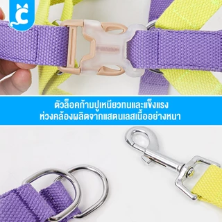 [ส่งฟรี🇹🇭] Doglemi ปลอกคอสุนัข สีพาสเทล ปลอกคอแมว สายจูงสุนัข สัตว์เลี้ยง Dog Collar CleverPet