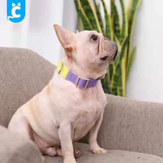 [ส่งฟรี🇹🇭] Doglemi ปลอกคอสุนัข สีพาสเทล ปลอกคอแมว สายจูงสุนัข สัตว์เลี้ยง Dog Collar CleverPet
