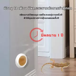 ยากำจัดจิ้งจกและตุ๊กแก 8 ชิ้น/กล่อง เหยื่อประสิทธิภาพสูง ฆ่าจิ้งจก ตุ๊กแก แมลง ได้ผลเร็ว ใช้งานง่าย