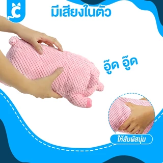 [ส่งฟรี🇹🇭] CleverPet ของเล่นสุนัข XXL หมาชิบะ มีเสียงในตัว ตุ๊กตาหมา ของเล่นหมา Dog Toy