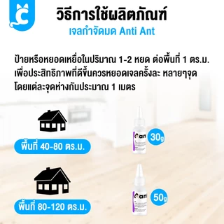 [ส่งฟรี🇹🇭] Anti Ant เจลกำจัดมด และแมลง ปลอดภัย ไร้กลิ่น แอนตี้แอนท์ CleverPet