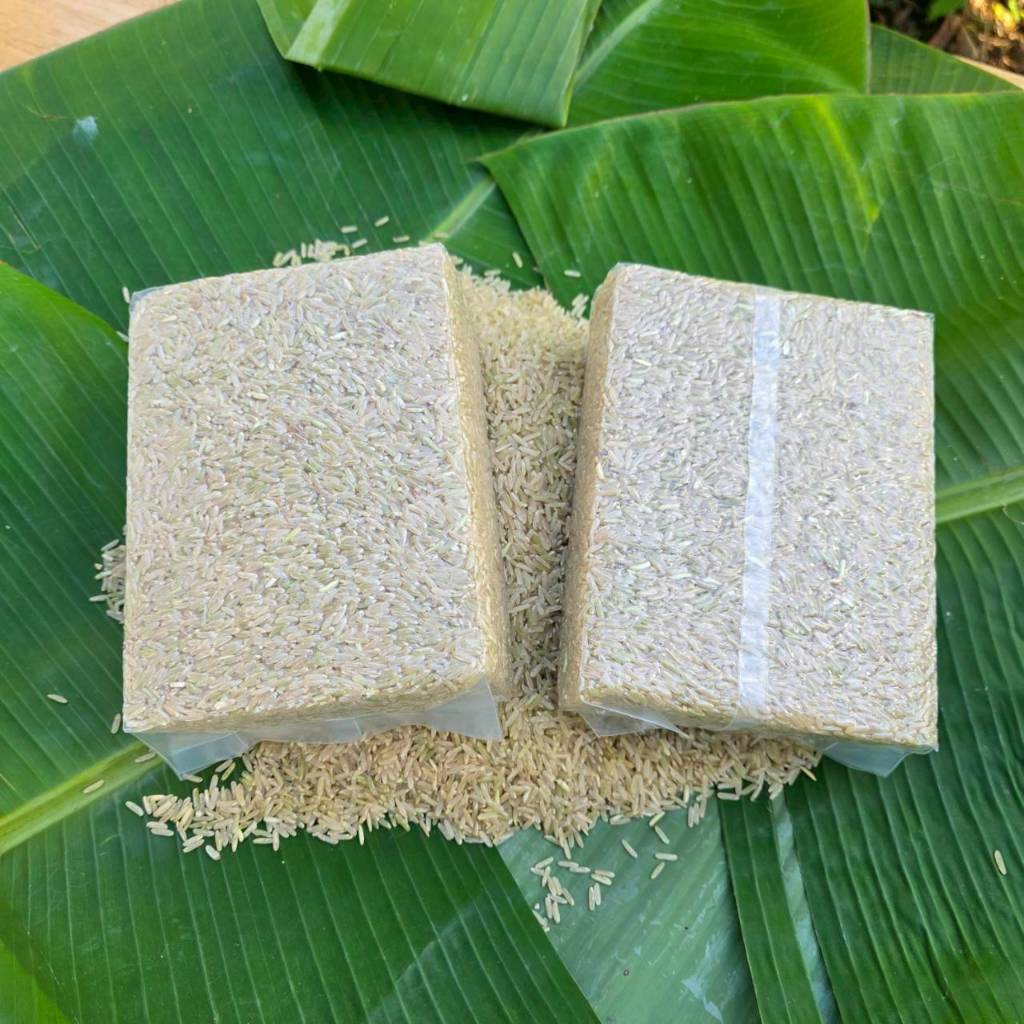 ข้าวกล้องน้ำนม ข้าวกล้องระยะน้ำนม สุรินทร์ แท้ 100% หอม นุ่ม ทานง่าย ไม่ฝืดคอ ราคาถูก ราคา ถูกที่สุด ดีลบีเคเค แกลเลอรีภาพที่ 3