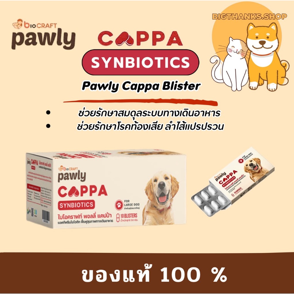 [exp 05/27] Pawly Cappa synbiotic for Dog ช่วยดูแลท้องเสีย เสริมภูมิ ขับถ่ายเป็นก้อน ลดกลิ่นมูล ระบบลำไส้แข็งแรง