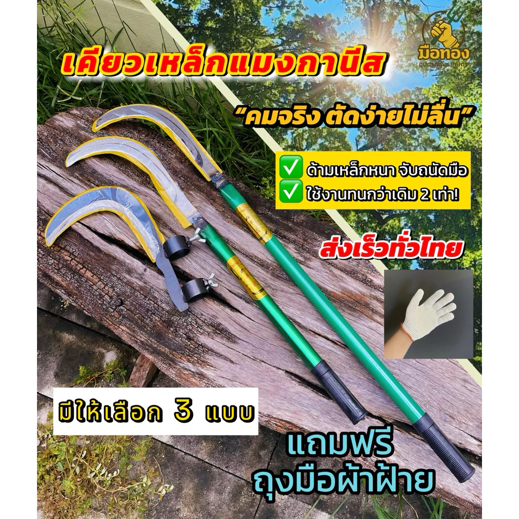 เคียวเหล็กแมงกานีสแท้ คมจริง ตัดง่ายไม่ลื่น มือทองอุปกรณ์การเกษตร