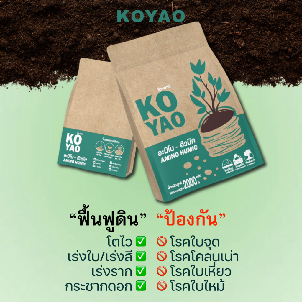 ฮิวมิคเข้มข้น เร่งโต ใบเขียว ดอกสวย เร่งดอก เร่งผล ไม้ดอกไม้ประดับ อาหารดิน สำหรับคนรักต้นไม้ ฮิวมิค-อมิโน สูตรพรีเมียม