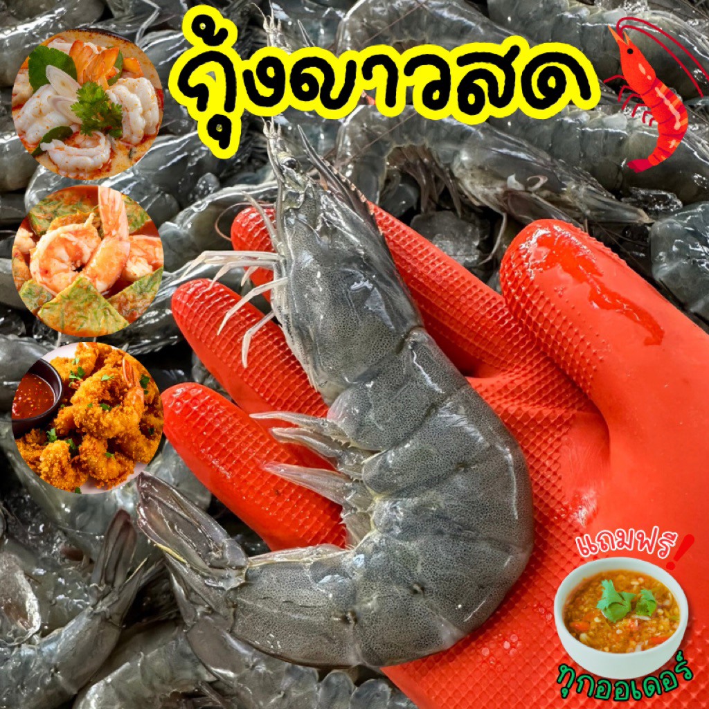 🦐กุ้งขาวสดไซส์จัมโบ้+ฟรีน้ำจิ้มซีฟู้ด‼️กุ้งขาวสดใหม่ทุกวัน🦐 เนื้อแน่น มันเยิ้ม พร้อมส่งทั่วไทย🛺