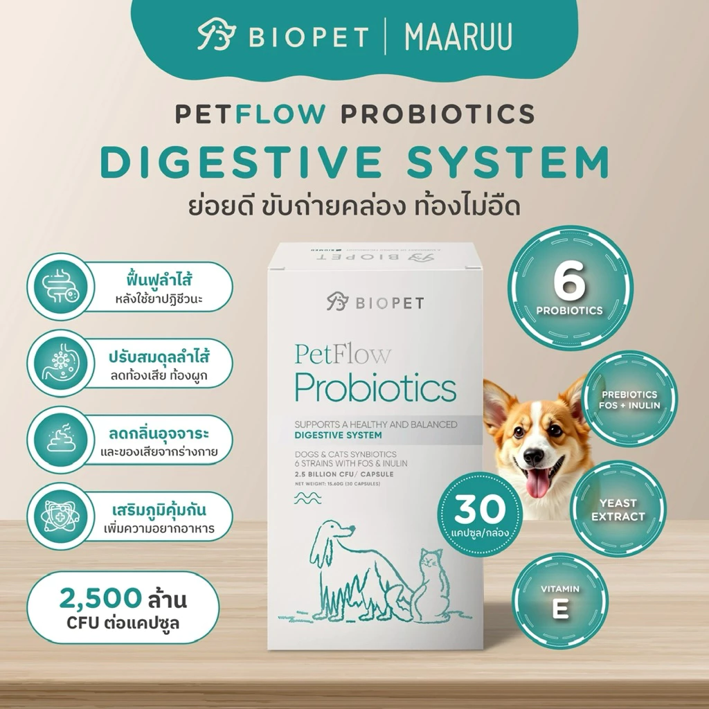 Biopet PetFlow Probiotics สูตร Digestive ปรับสมดุลลำไส้ ลดท้องเสีย ลดกลิ่นอุจจาระ โพรไบโอติกส์สำหรับสัตวเลี้ยง หมา แมว