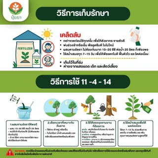 เร่งน้ำยาง แตกแรง พุ่งไว ไม่หยุดหยด สูตร 11-4-14 เพิ่มปริมาณ คุณภาพน้ำยางเต็มๆ
