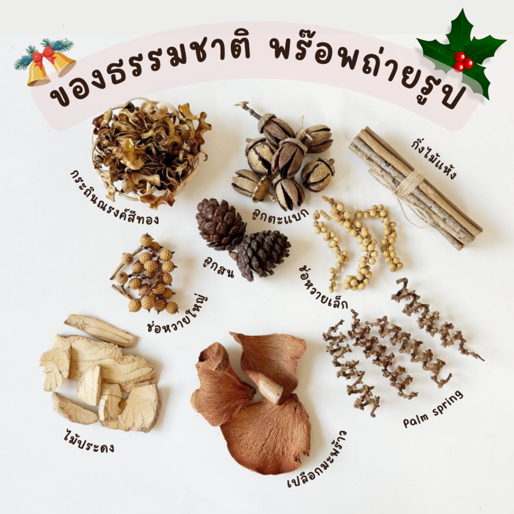 Prosco | พร๊อพถ่ายรูป ของตกแต่งธรรมชาติ ไม้แห้ง คริสต์มาส