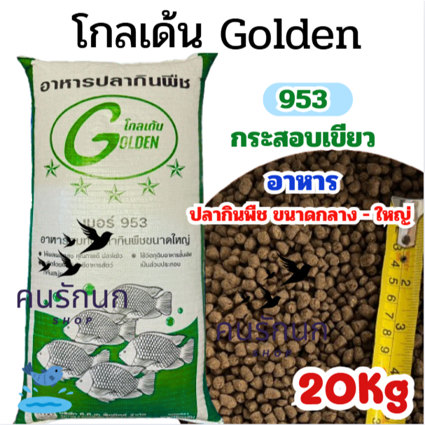 Golden อาหารปลาเบอร์ 953 สีเขียว  20kg. สำหรับปลาขนาดกลาง-ใหญ่ เม็ด 2.5-3.5 มิล