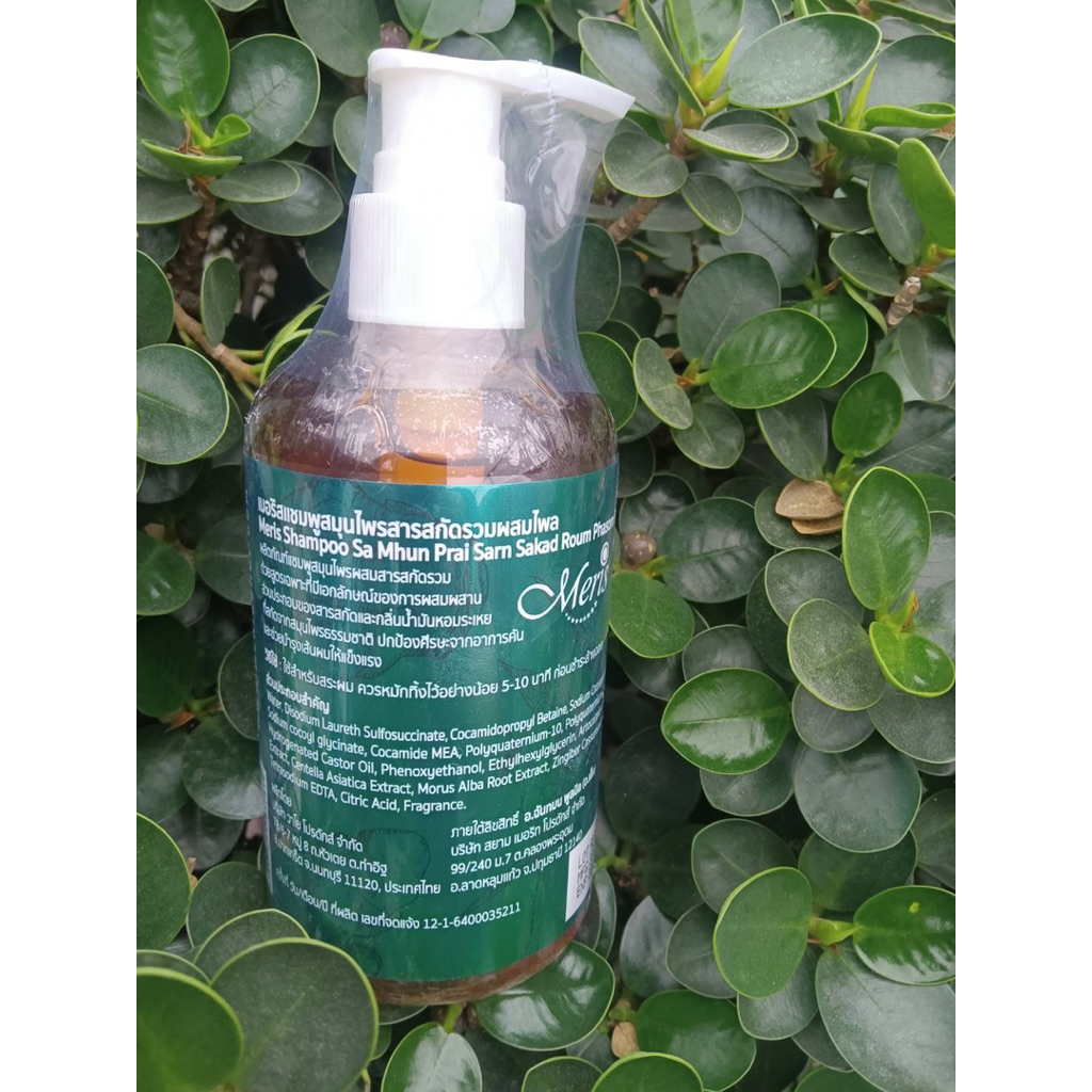 MERIS เมอริสแชมพูสมุนไพรสารสกัดรวมผสมไพลรวม-ผมมันง่าย-รังแค-ปราศจากซัลเฟต-Mammaherb-แชมพูมะมาเฮิร์บ exp27 - รูปที่ 6