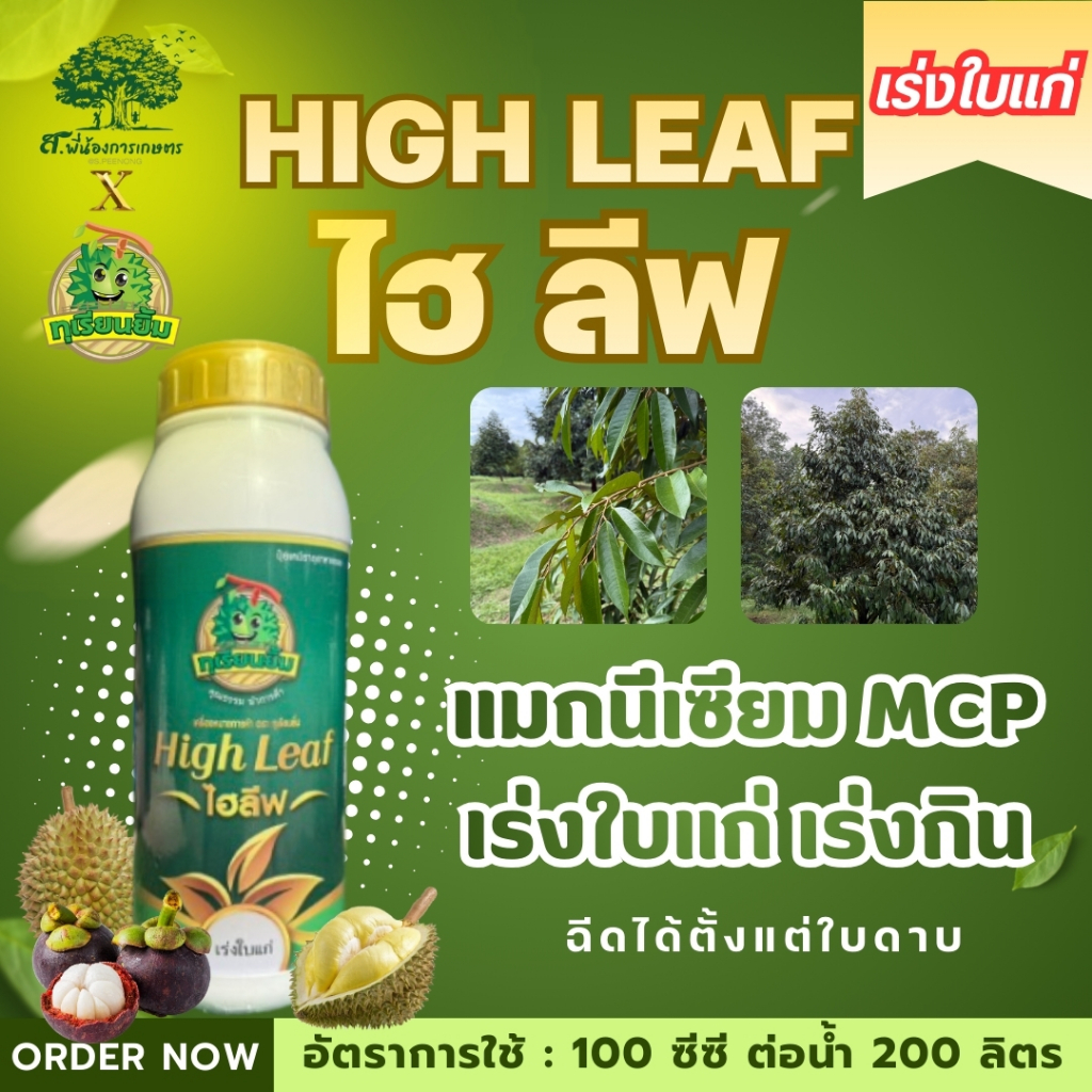 ไฮลีฟ แมกนีเซียม MCP เร่งใบแก่ เร่งกิน ขนาด 1 ลิตร ตราทุเรียนยิ้ม ฉีดได้ตั้งแต่ใบดาบ