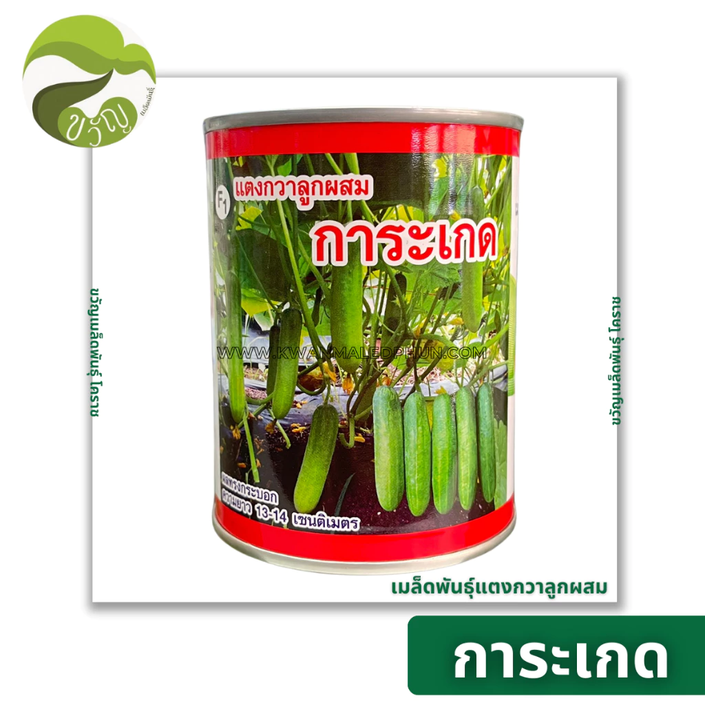 การะเกด เมล็ดพันธุ์แตงกวา แตงกวา ลูกผสม ตราเสือ ขนาด 100 กรัม