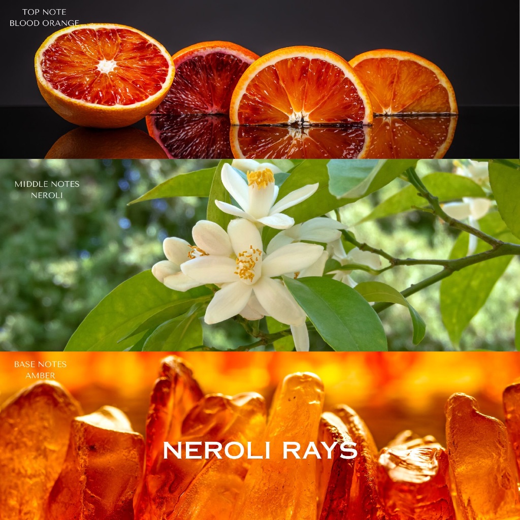SUNDALO Aromatic Sachet 50g ซุลดาโล ถุงหอมปรับอากาศ ถุงหอมรถยนต์ ขนาด50กรัม รูปที่ 7