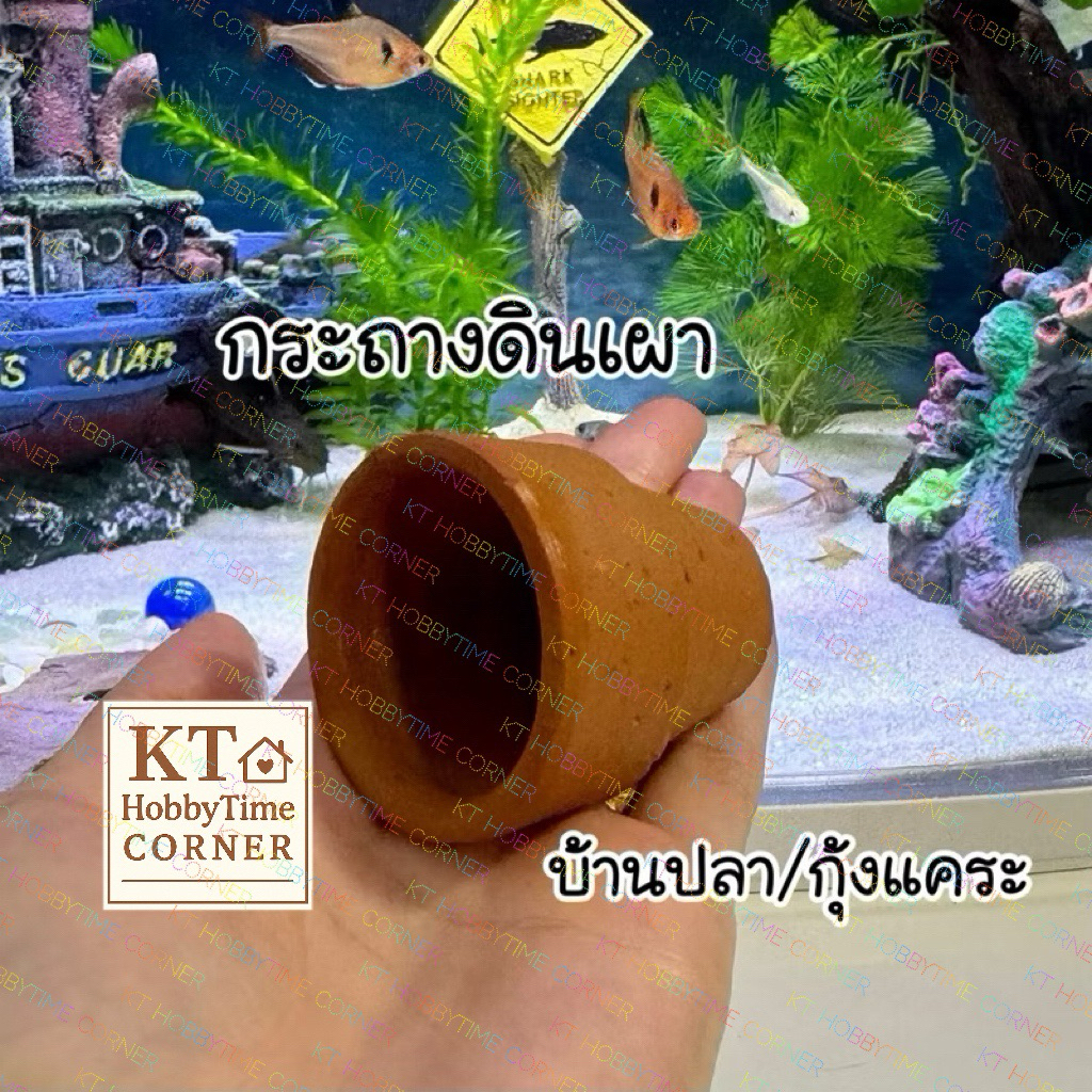 กระถางดินเผา บ้านปลา บ้านกุ้ง อุโมงค์ปลา แต่งตู้ปลา/ตู้ไม้น้ำ