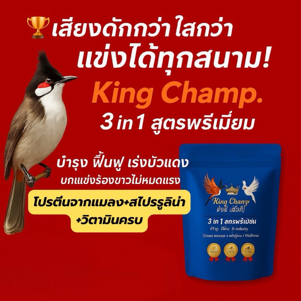 King Champ อาหารนกกรงหัวจุก สูตรพรีเมียม 3 in 1 สูตรเลี้ยงสำหรับหรับแข่ง บัวแดงดี ขยันริก สายธรรมชาติ