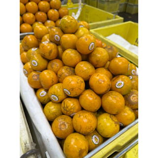 ส้มสายน้ำผึ้ง ธนาธร เบอร์ 4 ลาย บรรจุ 10 กิโลกรัม ราคา 599 บ…
