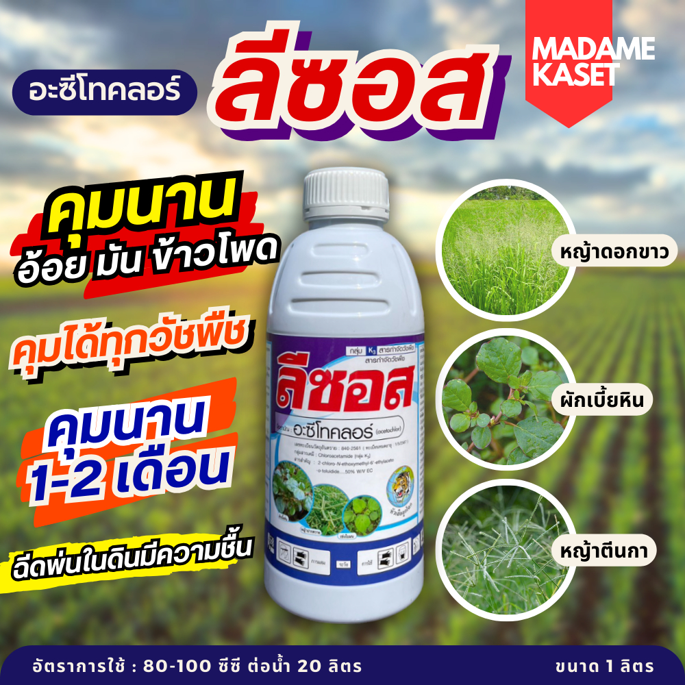 (ยกลังx12) ลีซอส (อะซีโทคลอร์) ยาคุมหญ้าในไร่อ้อย ไร่มัน เผือก