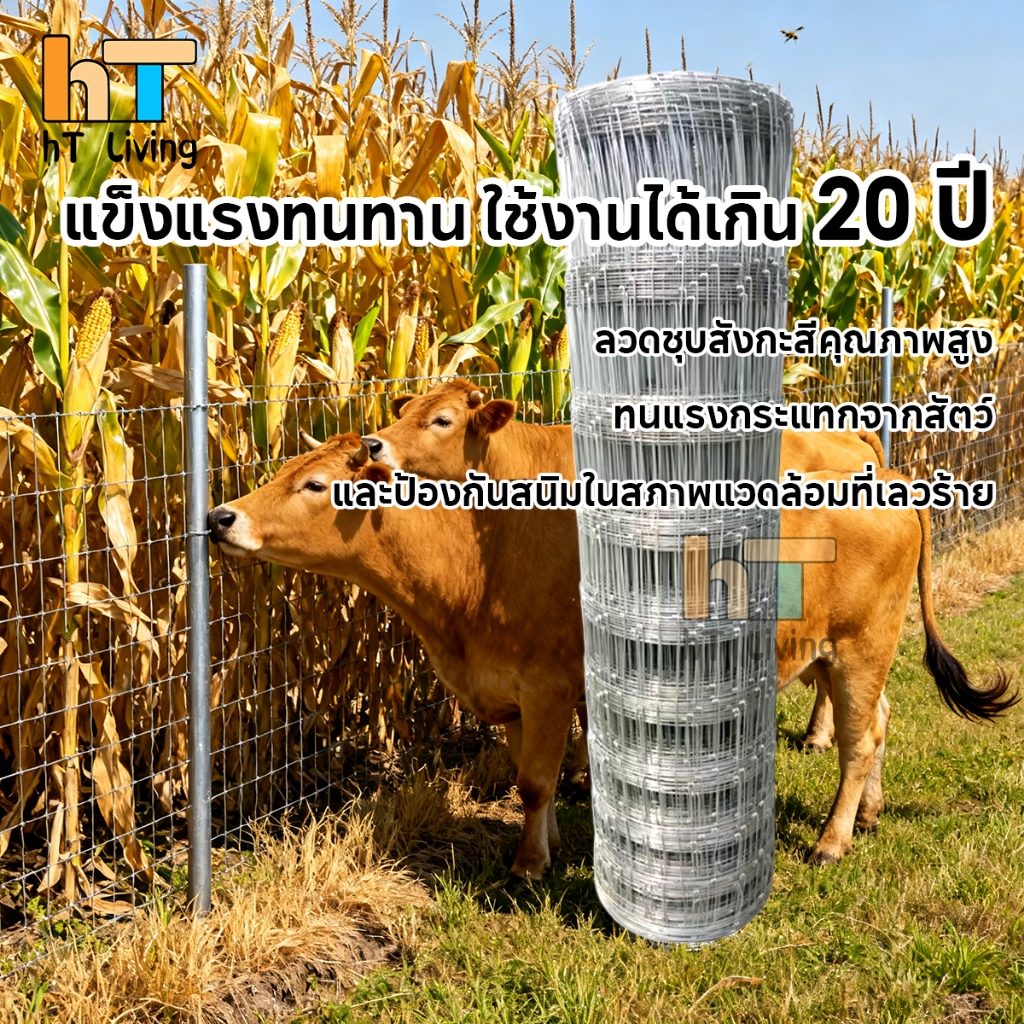 HT รั้วถักปม/รั้วตาข่าย ยาว30m/50m ช่อง 4×6 นิ้ว ตาข่ายแรงดึง ลวดตาข่ายถักปม ลวดเหล็กล้อมรั้ว ฟาร์มแกะ รั้วล้อมสวน