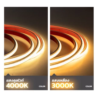 MODI ไฟเส้น24V ยาว5M10M Led Strip พร้อมกาวในตัว เหมาะสำหรับใช้ภายในอาคาร ไฟริบบิ้นตกแต่งห้อง ปีใหม่